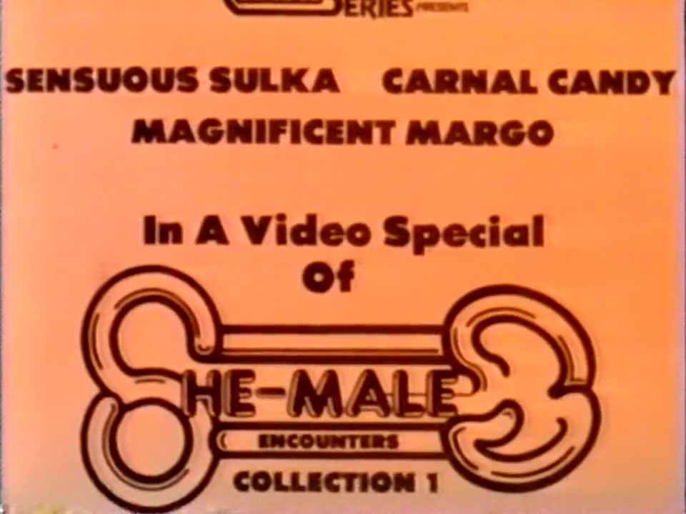 She-Male Encounters 01 (1981)