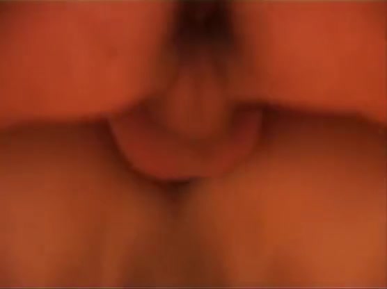 tranny-fmd 309 04