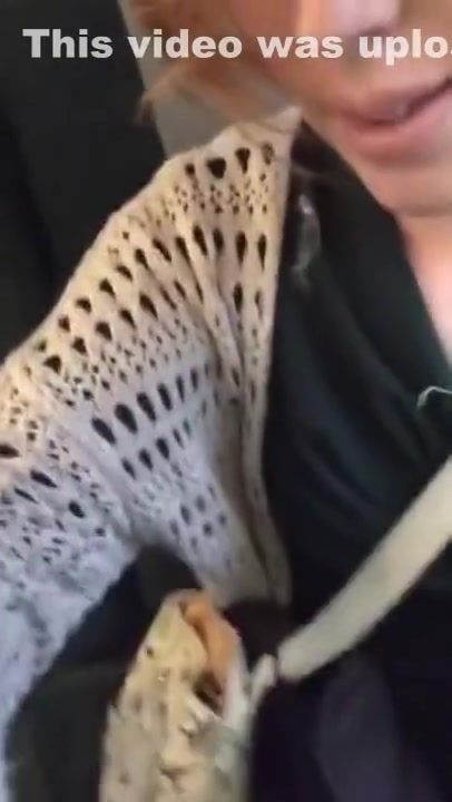 Horny Tgirl Jerks Off on a Train!