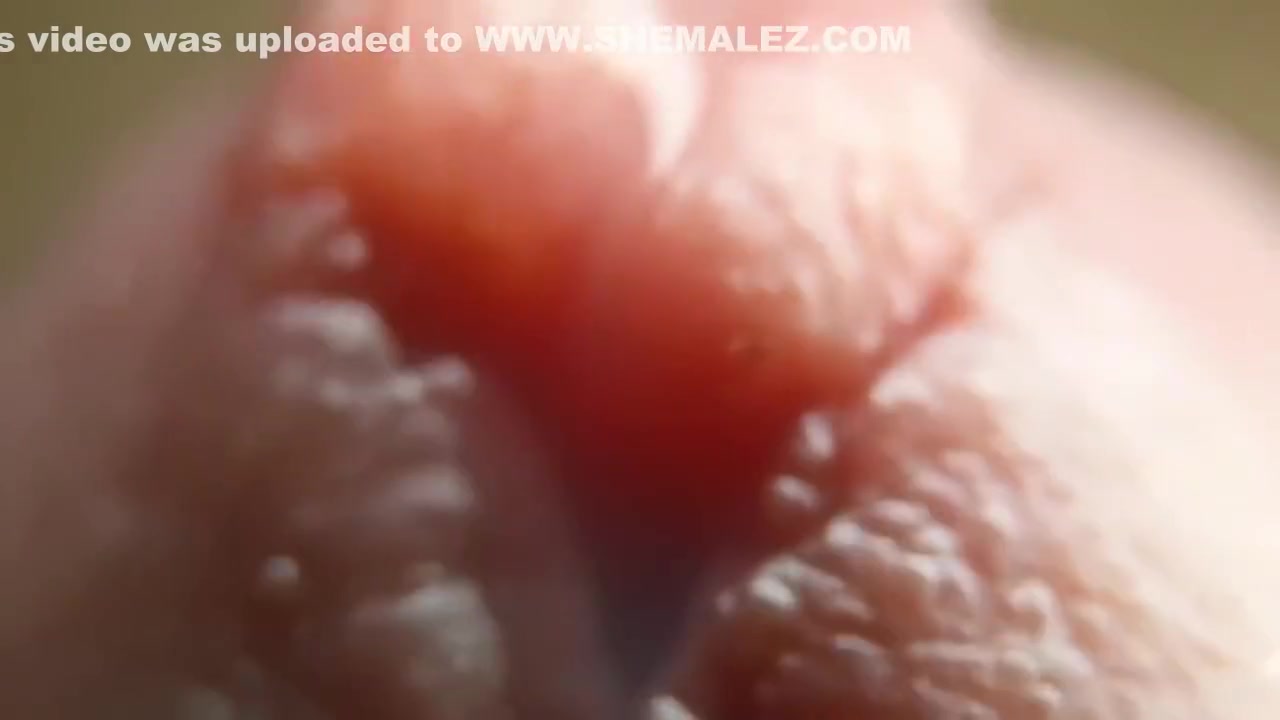 My Ex's Closeup & Personal