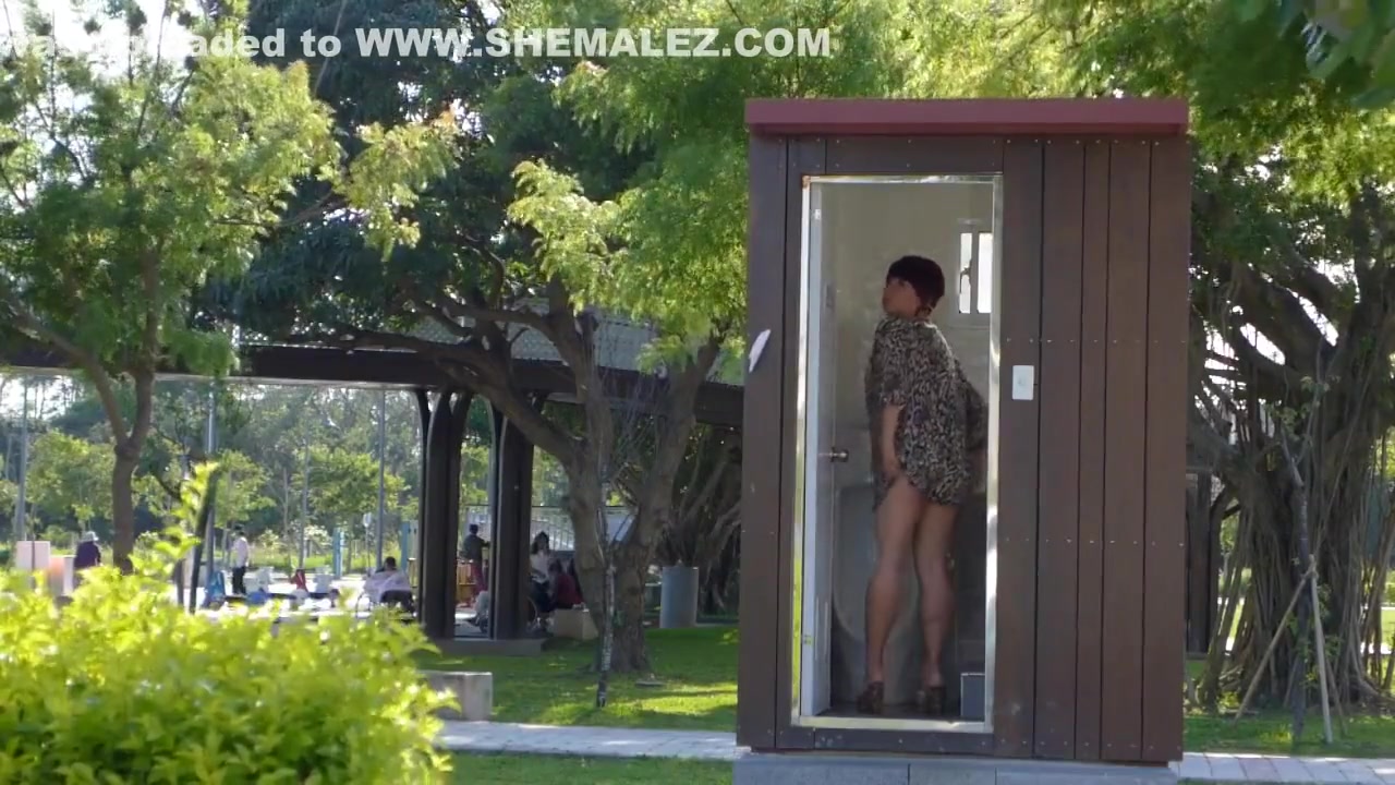 Public toilet in the park