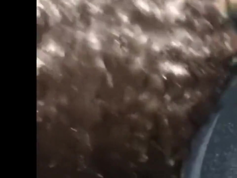 aNYCPR1 getting sucked and fucking my ts bae aSUPERHEADD IN A NYC PARK