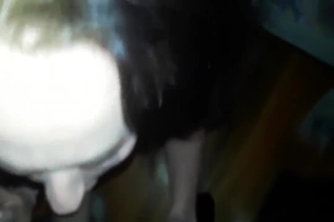 THE INVISIBLE TRANNY