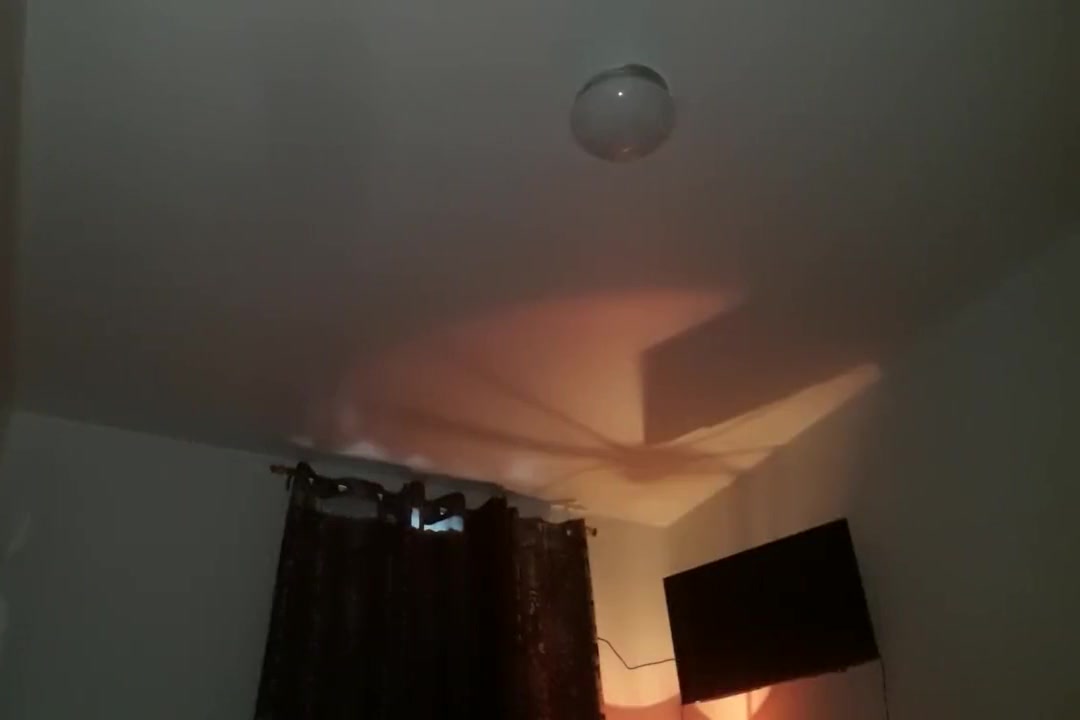 THE INVISIBLE TRANNY
