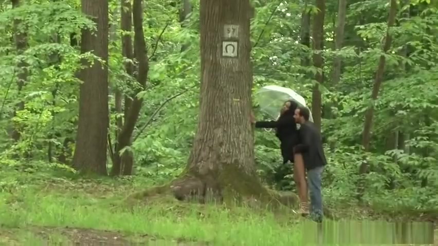 Dans Les Bois