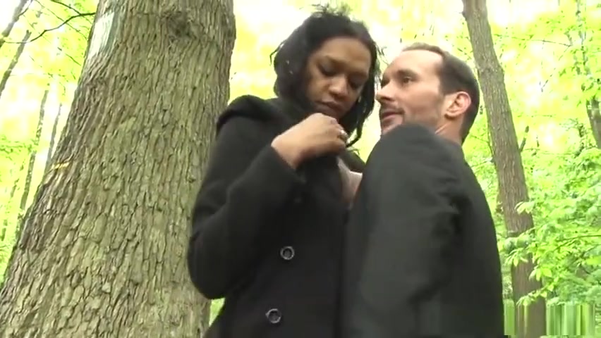 Dans Les Bois