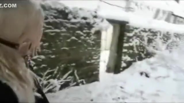 Snow Pony