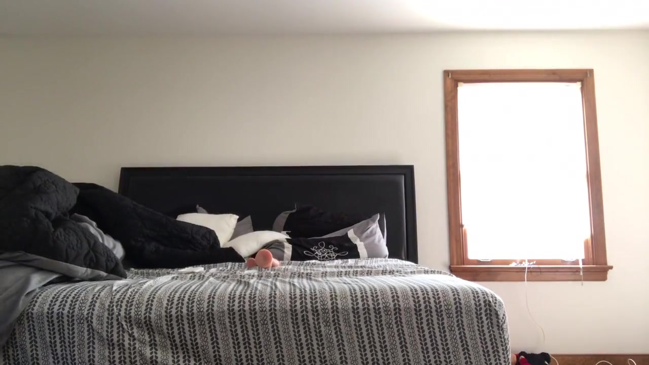Butt plug doggystyle