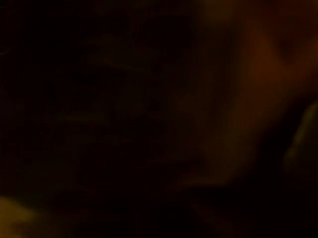 Tara Firma up close