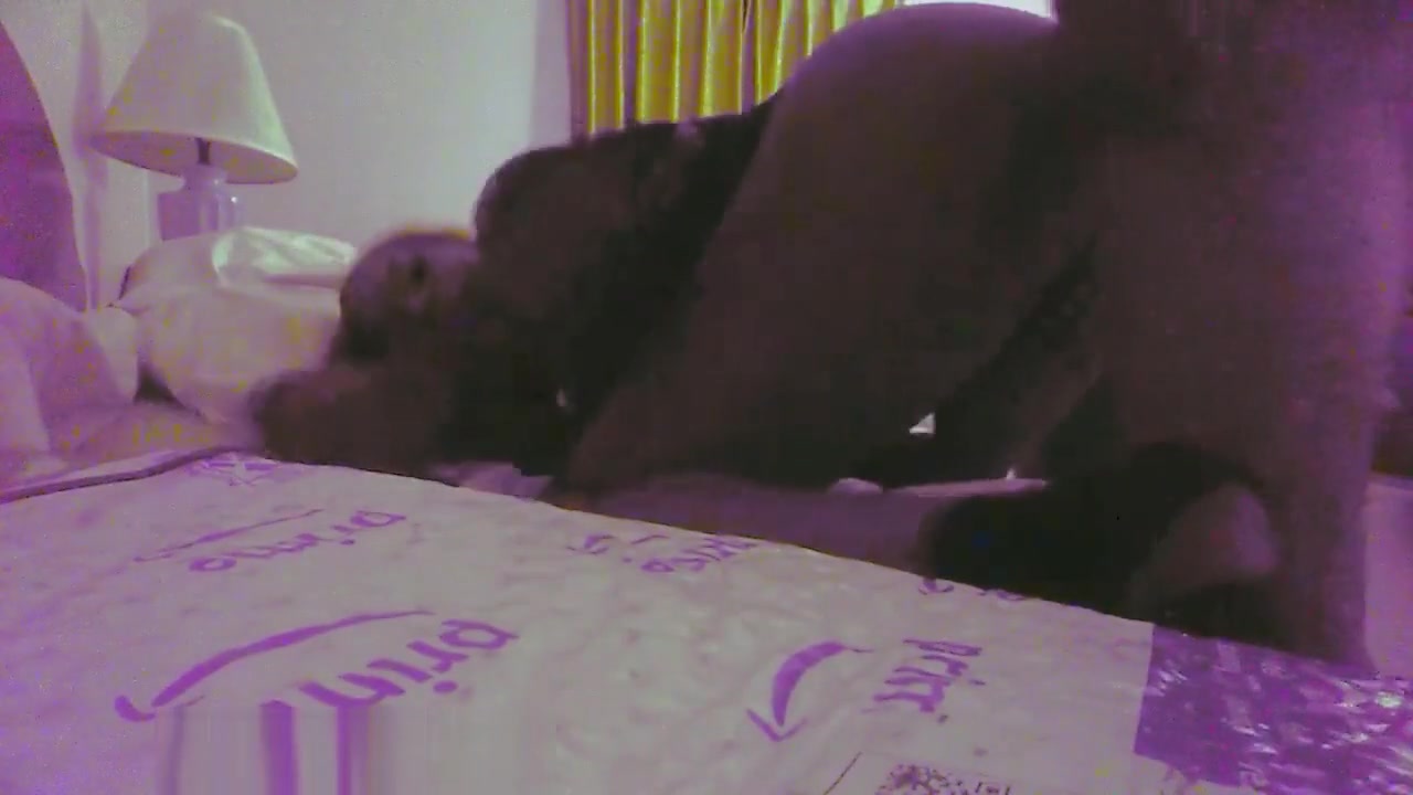 TRANNY GETS FUCKED BY DL FBI AGENT!