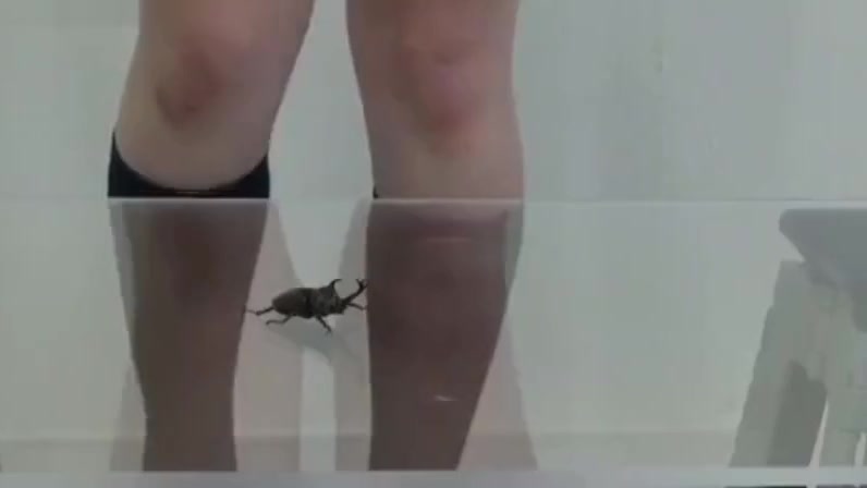 Exotic sex scene transsexual Shemale incredible watch show