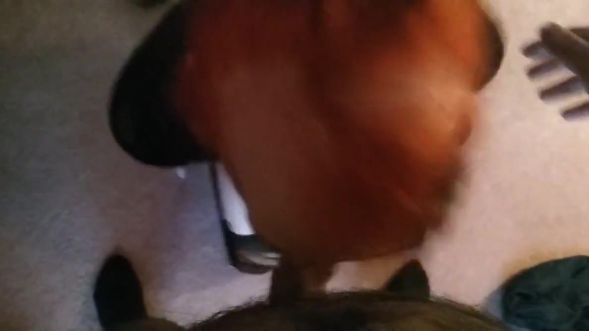 Shemale blowjob