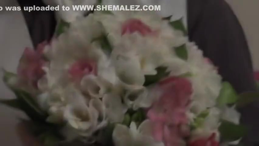 First gay Greek Wedding By Seduxion!!!