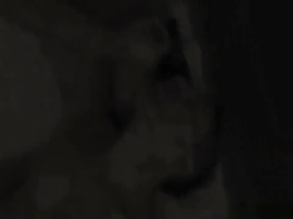 Busty shemales jizzing on while jerking