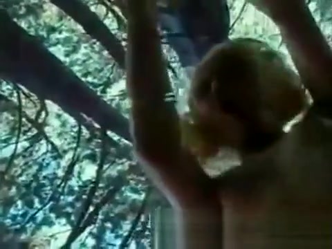 Outdoor Copulation In The Forest