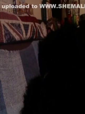 Playful lady-man Kitty Jerks On A Floor