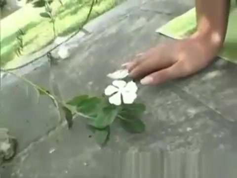 latina Muscle dude bangs golden-haired shemale outdoors