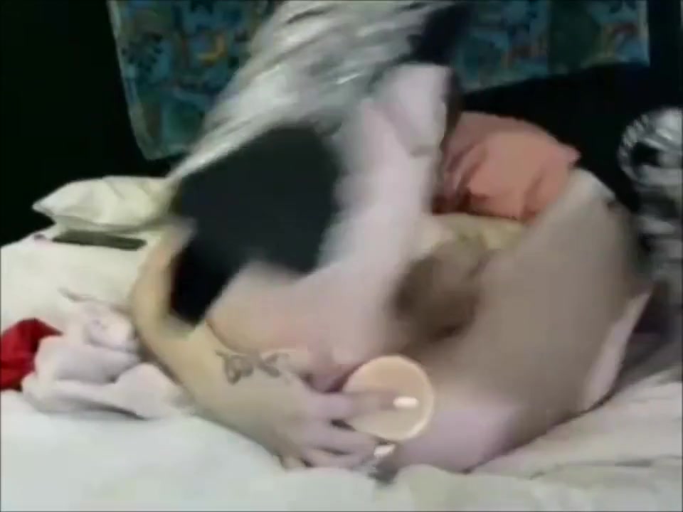 Shemale Cutie Pleasuring Her Anus With A Dildo