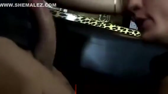 ladyboy stockings chick Getting Sucked And Cant receive sufficiently