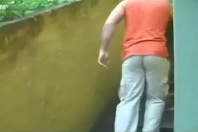 Incredible sheboy Scene