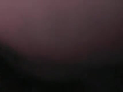 2 Amateur Shemales in Hot Session