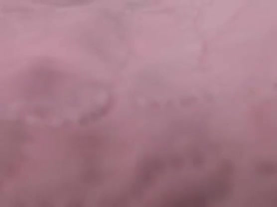 Ph webcam - DickGirls.xyz