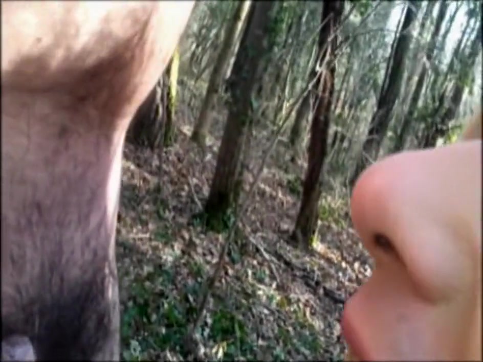 Sex in the wood - Cindie Paradis
