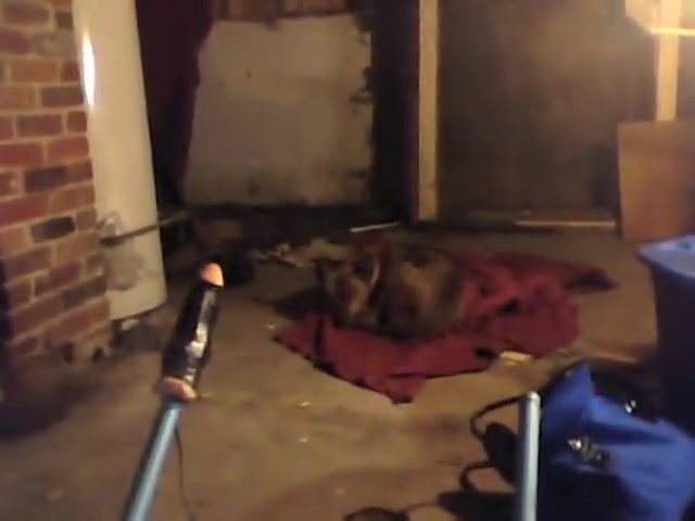 Self Fuck