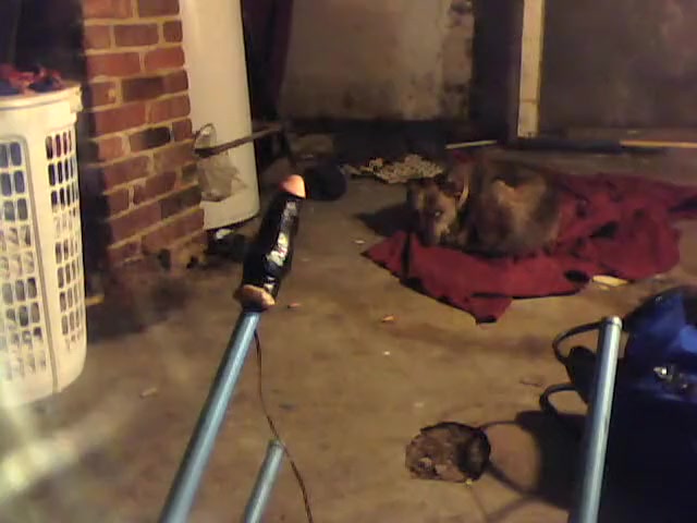 Self Fuck