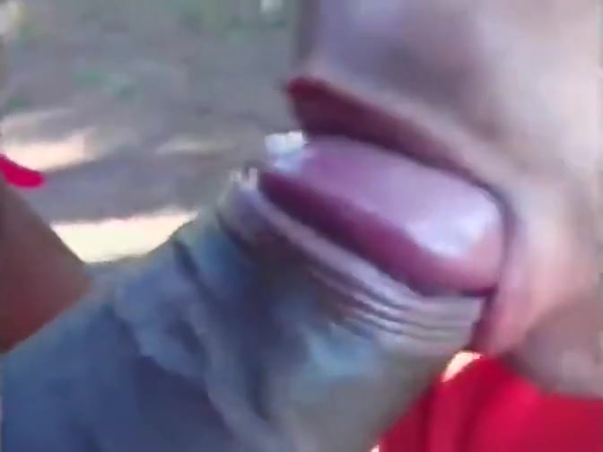 Mutual interracial blowjob outdoors