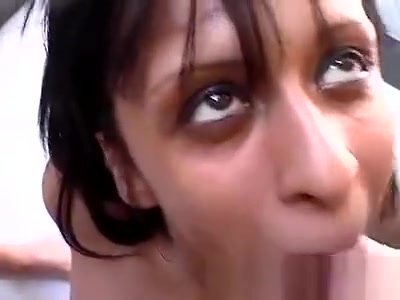 Tgirls dong for a sweet pussy