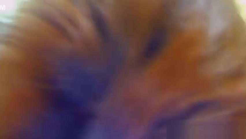 Busty Big Cock Shemale Masturbation