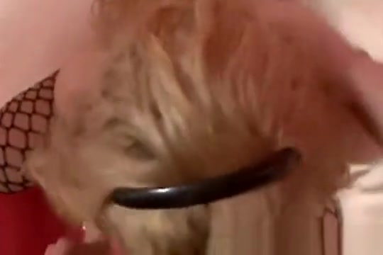 Shemale eagerly blows her studs hard dick in their home