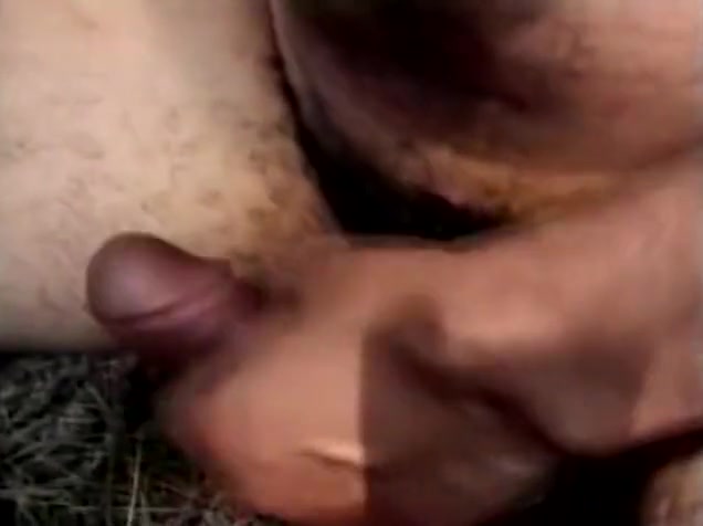 Hot cock riding in the forest
