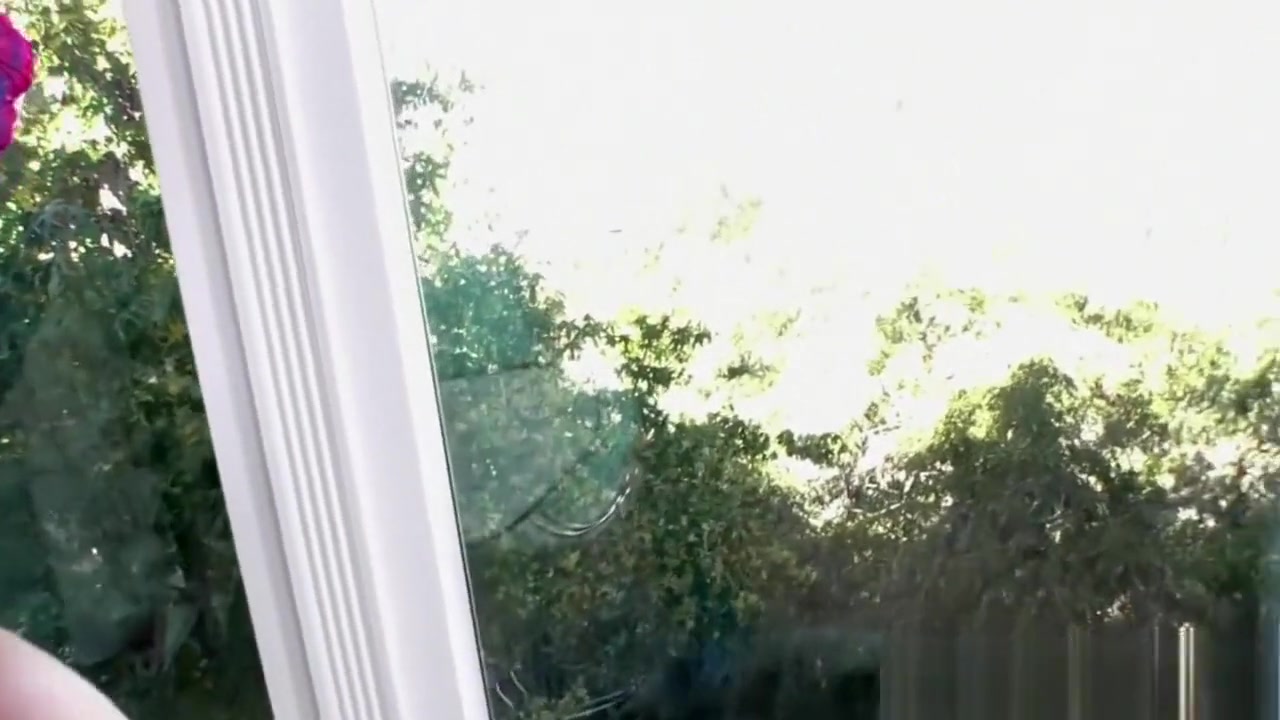 Holly Heart got fucked by TS Tarynxo