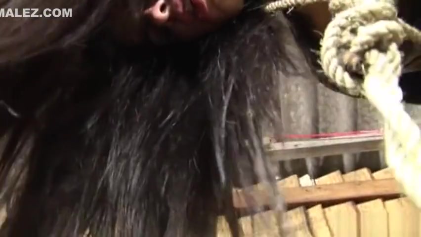 Tranny bondage sex