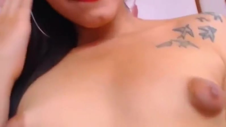 Trans 1