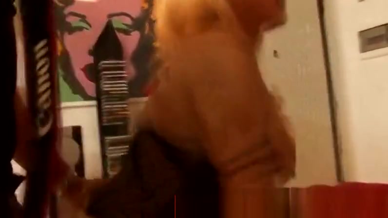 Lingeried blonde seduces a photographer