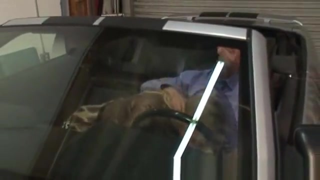 Tranny sucks dude cock