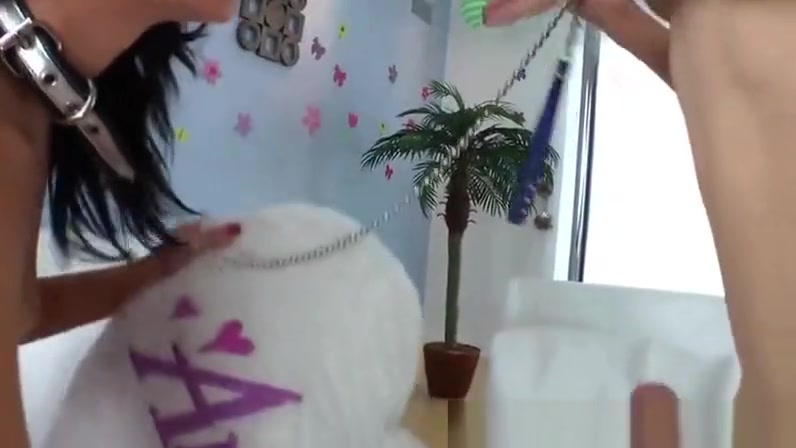 Shemale is getting sexy blowjob and cant get enough