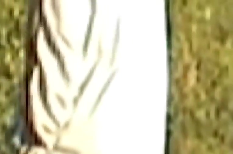 Mature CD Sucking Outdoors