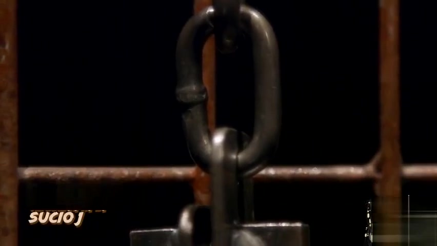 Dominant black ts gets her dick sucked