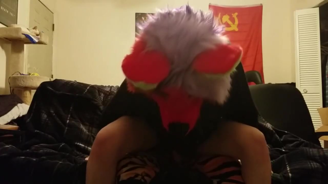 Trans Fox Plowed By Lion