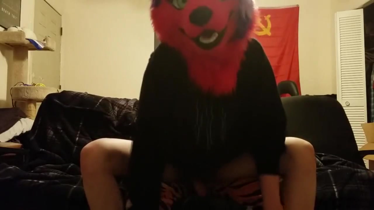 Trans Fox Plowed By Lion