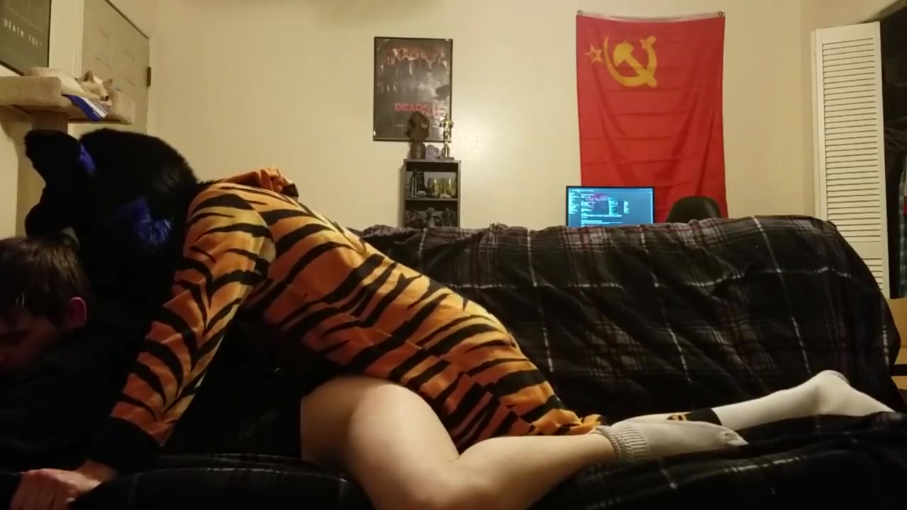 Trans Fox Plowed By Lion