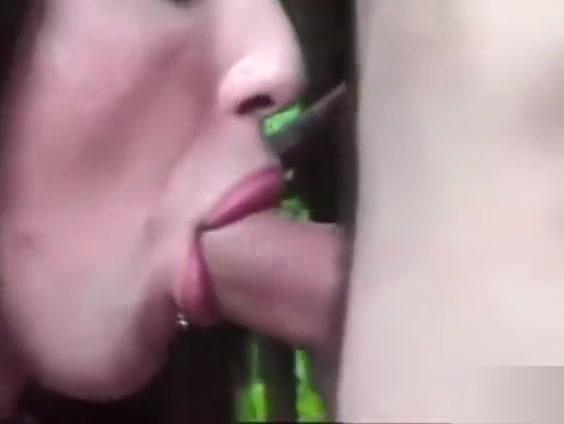 A Chupeta dos Sonhos