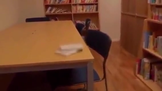 Hot fucking girl