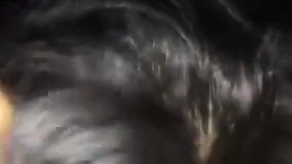 Fabulous porn movie shemale Shemale crazy ever seen