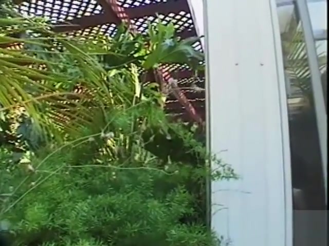 This shemale was horny anal 2
