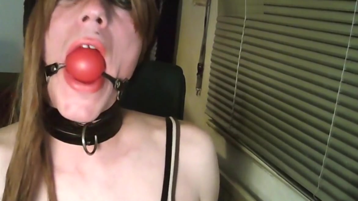 Lena Gagball STABLE CONTENDER